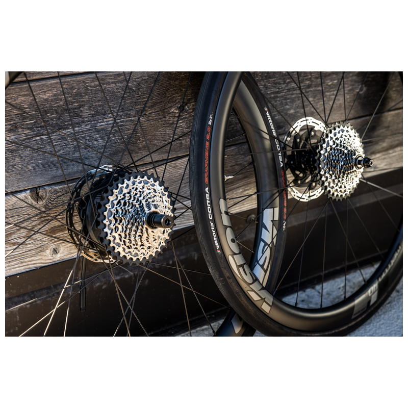 FMOSER E-Bike Rennvelo Force Carbon silver black (2 Bikes in 1)