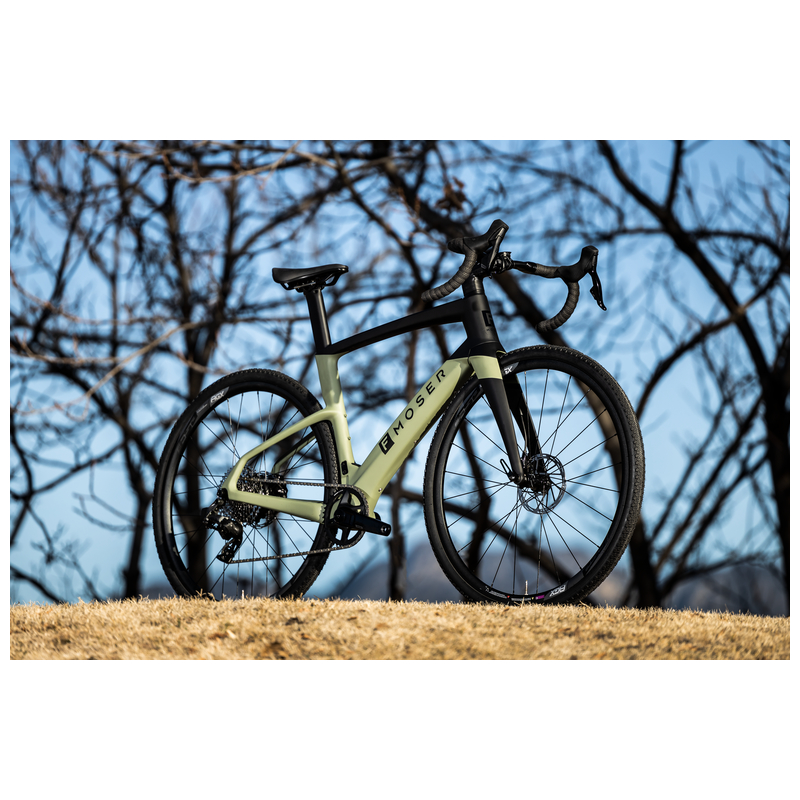 FMOSER E-Bike GRAVEL Force Carbon (2 Bikes in 1)